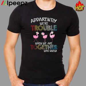 Flamingos Apparently Were Trouble When We Are Together Who Knew Shirt