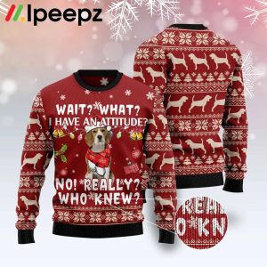 Beagle Attitude Funny Family Ugly Christmas Sweater