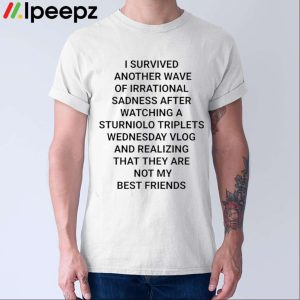 I Survived Another Wave Of Irrational Sadness After Watching A Sturniolo Triplets Wednesday Shirt