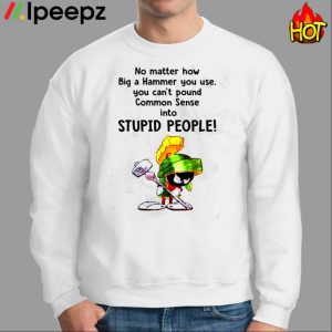 No Matter How Big A Hammer You Use, You Can't Pound Common Sense Into Stupid People Shirt 2