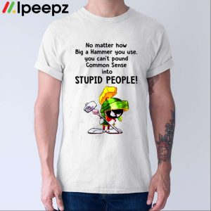 No Matter How Big A Hammer You Use, You Can't Pound Common Sense Into Stupid People Shirt