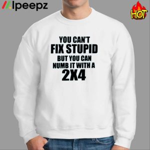You Can't Fix Stupid But You Can Numb It With A 2x4 Shirt