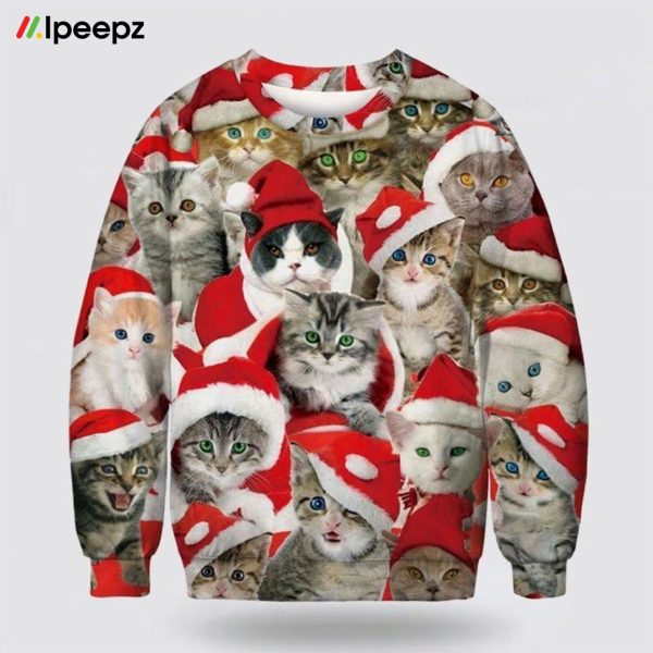 Adorable Cat With Red Hat Ugly Christmas Sweater