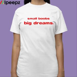 Small Boobs Big Dreams Shirt