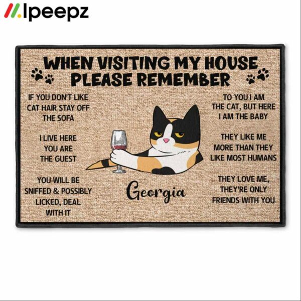 Cats When Visiting My House Please Remember Doormat